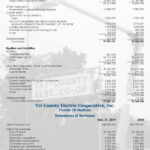 2020 Annual Report By Tri County Electric Cooperative Florida Issuu