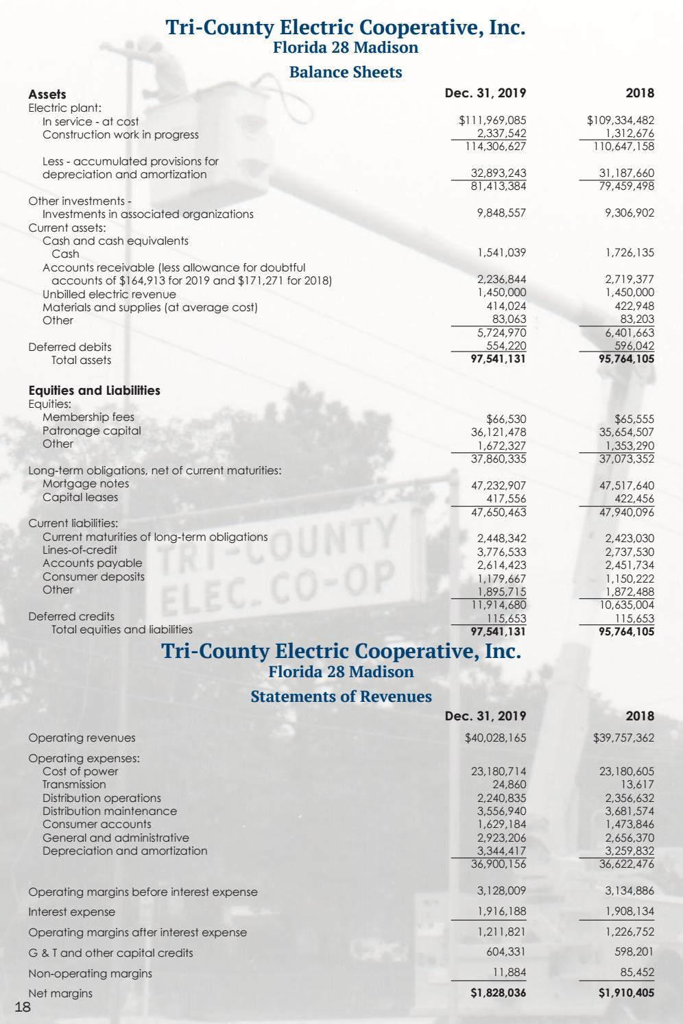 2020 Annual Report By Tri County Electric Cooperative Florida Issuu