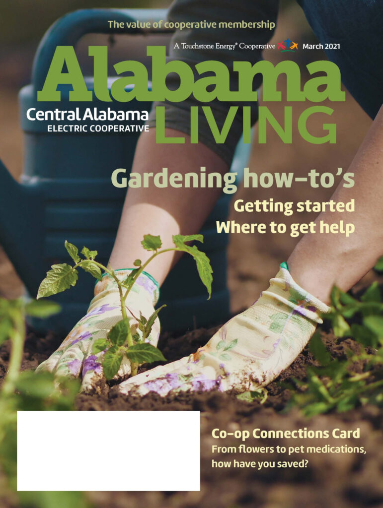 Alabama Living Archive Central Alabama Electric Cooperative