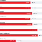 Electric Car Survey Budget Direct