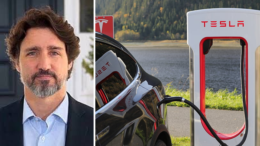 Government Spent 186 Million On Rebates For Electric Cars True North