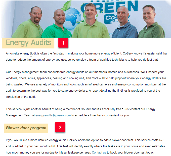 Peek Inside CoServ Electric Coop Marketing Strategy Produce Results