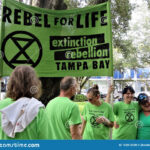 People Vs TECO Protest Tampa Florida Editorial Stock Photo Image Of