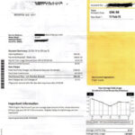 Tariff Woes For Solar Households It s All About Network Charges