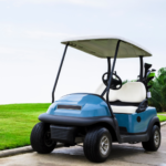 2021 Electric Golf Cart Rebate VPPSA