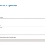 Consolidated Balance Sheet Dakota Electric Association