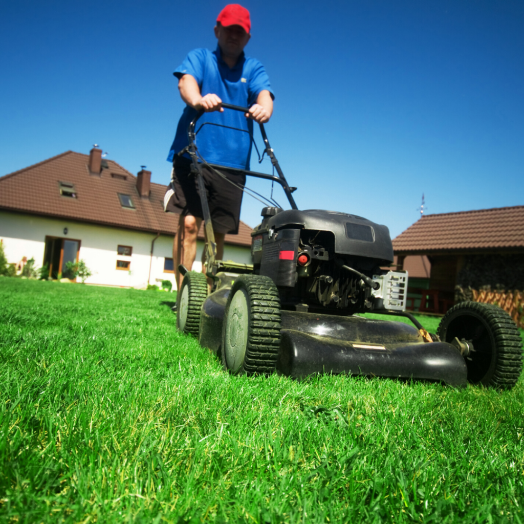 Electric Lawn Mower Rebate VPPSA