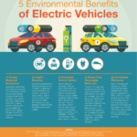 Pin On Environment Infographics