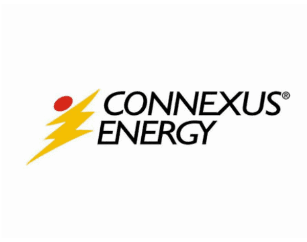 Connexus Energy Grid Catalyst