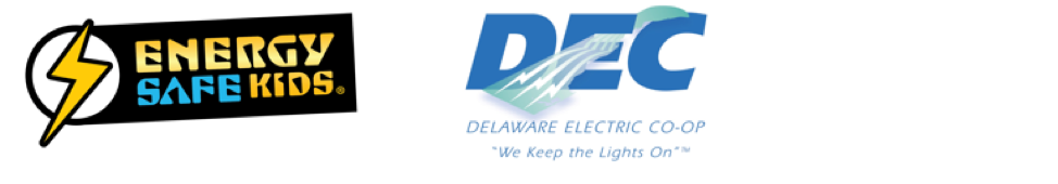 Delaware Electric Coop Students