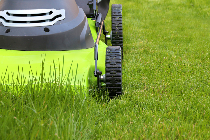 Electric Lawn Mower Rebate Ohio