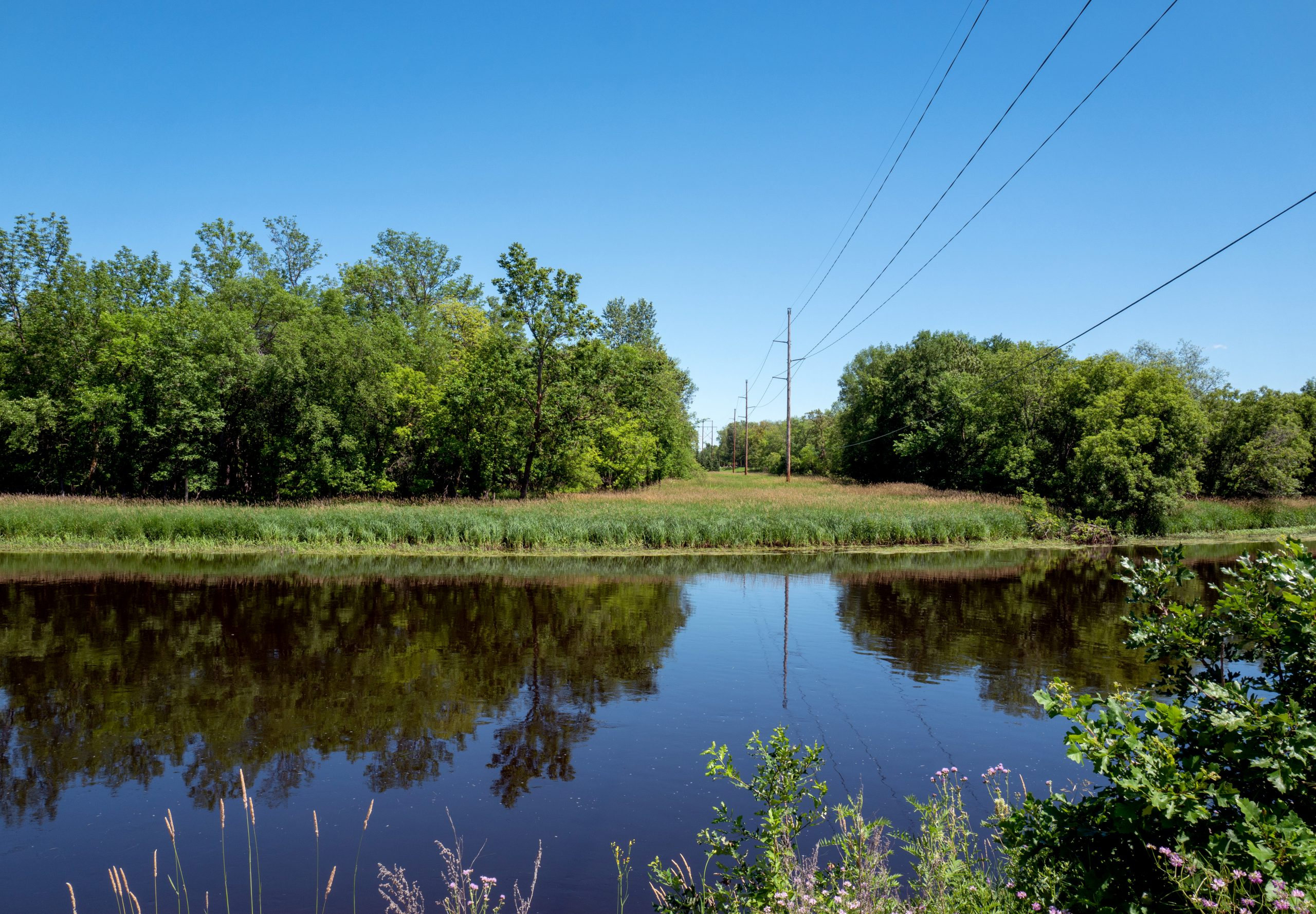 Keep The Lights On During The Energy Transition North Star Electric Coop