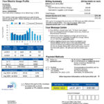 PPL Electric Utilities Sample Bill Bills Understanding Yourself