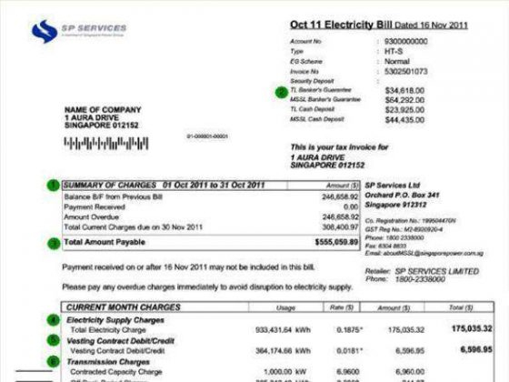 Singaporeans May Be Paying One Of The Highest Charges For Electricity 